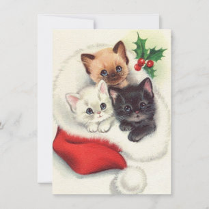 Three Christmas Vintage Kittens In Stocking Holiday Card