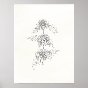 Three Chrysanthemums Print