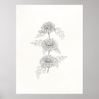 Three Chrysanthemums Print
