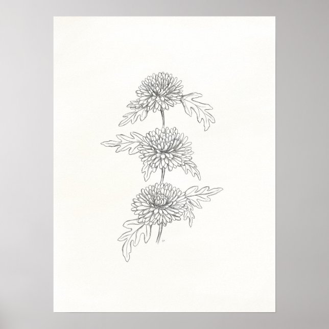 Three Chrysanthemums Print (Front)
