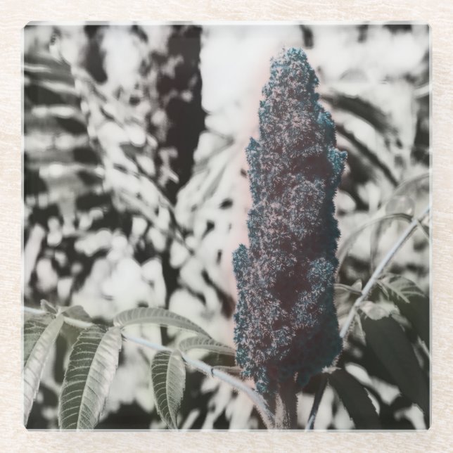 Three Coaster (Front)