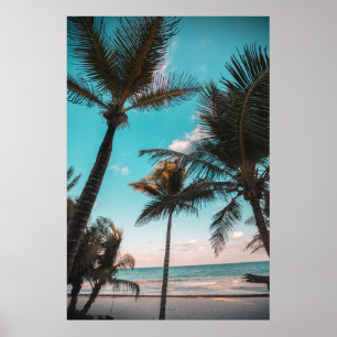 Three coconut trees on seashore poster
