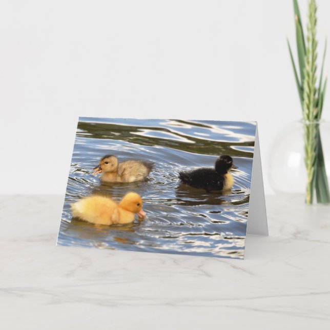 Three coloured ducklings card (Front)