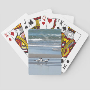 Three Common Terns on a Sandy Beach Playing Cards