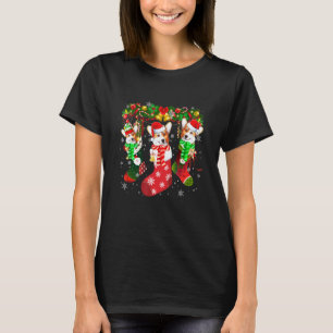 Three Corgi In Sock Christmas Santa Hat T-Shirt