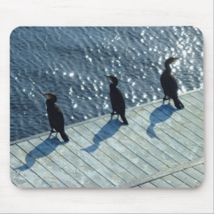 Three Cormorants Mouse Pad