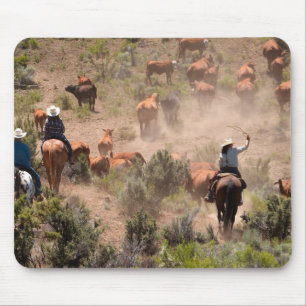 Three cowboys and cowgirls driving cattle mouse pad