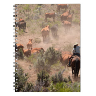 Three cowboys and cowgirls driving cattle notebook