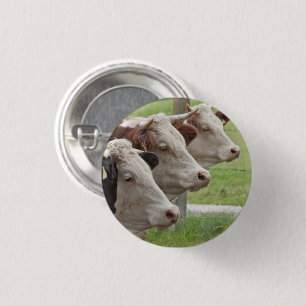Three Cows in a Row Button
