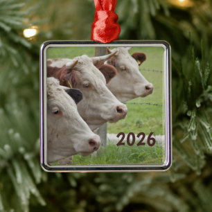 Three Cows in a Row Ornament