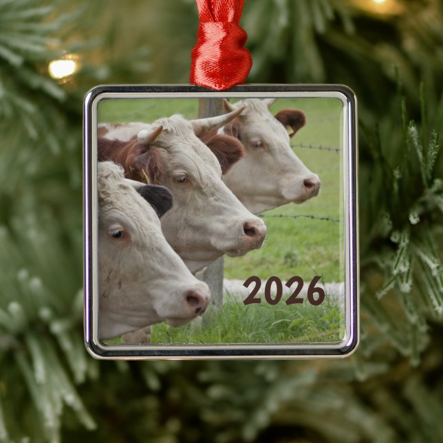 Three Cows in a Row Ornament (Tree)