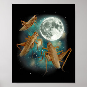 Three Cricket Moon 3 Insect Howling Meme Magic Cur Poster