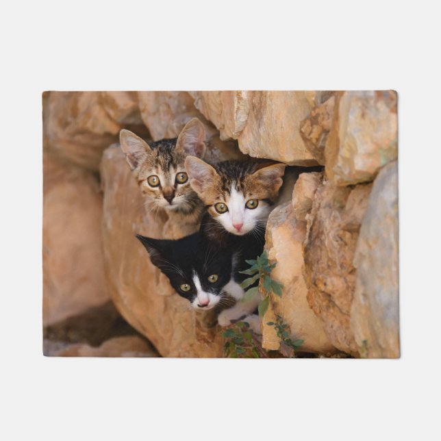 Three curious cat kittens doormat (Front)