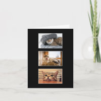 Three Custom Cat Photo Thank You Card