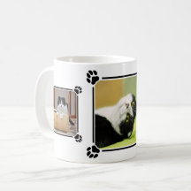 Three Custom Cat Photos Collage With Paw Prints