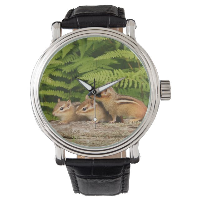 Three Cute Baby Chipmunks Watch (Front)