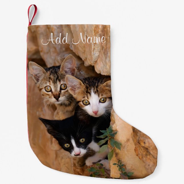 Three Cute Curious Cat Kittens Faces Funny Photo - Small Christmas Stocking (Front)