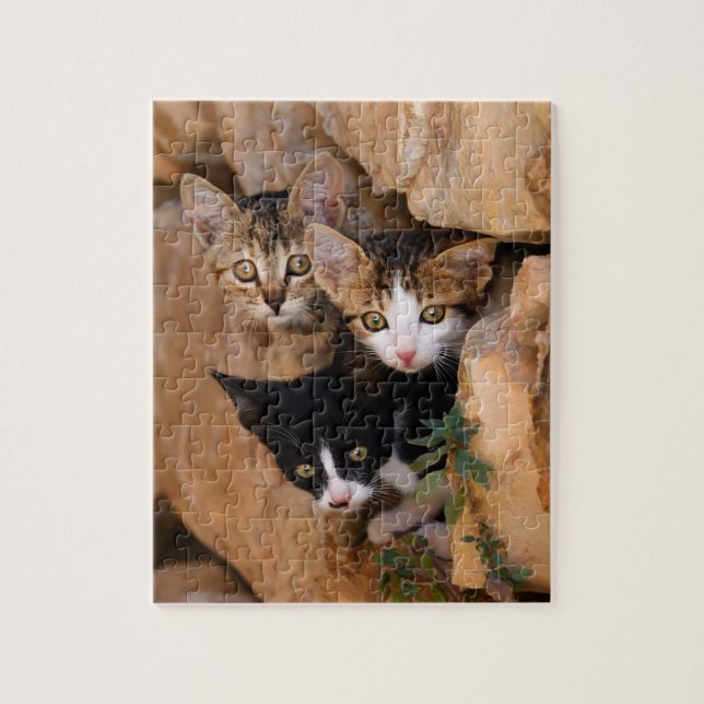 Three cute curious kittens in a wall jigsaw puzzle (Vertical)
