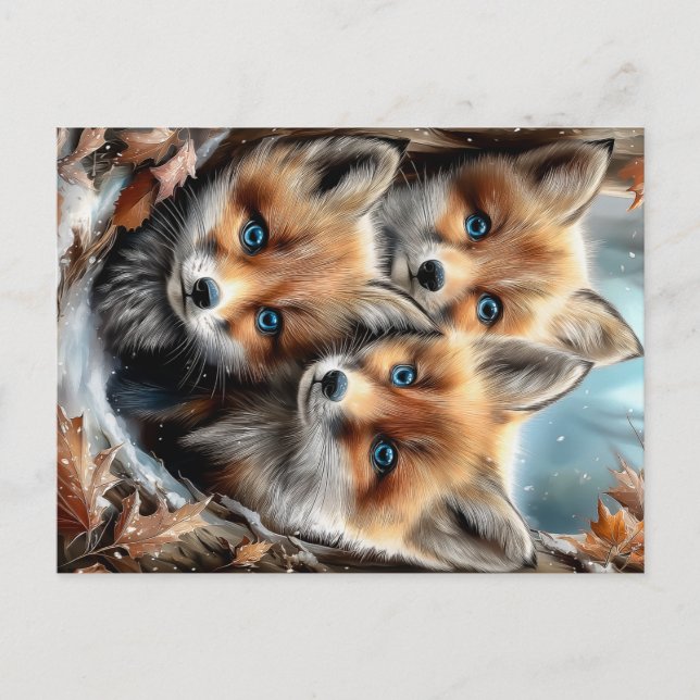 Three Cute Fox Cubs in Forest Postcard (Front)