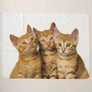 Three Cute Ginger Cat Kittens Friends Head Photo - Sherpa Blanket
