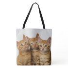 Three Cute Ginger Cat Kittens Photo - on Shopper