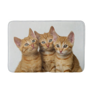 Three Cute Ginger Kittens Side by Side, Rug