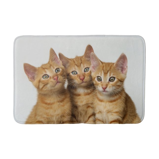 Three Cute Ginger Kittens Side by Side, Rug (Front)