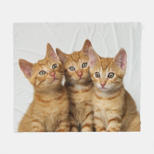 Three cute ginger kittens side by side, soft fleece blanket (Front (Horizontal))