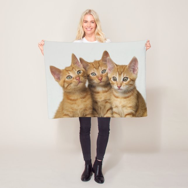 Three cute ginger kittens sitting side by side - fleece blanket (In Situ)
