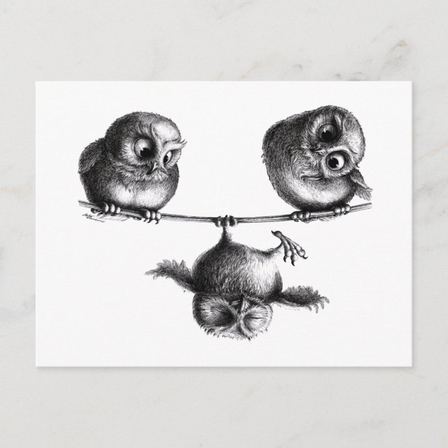 Three Cute Happy Sporty Owls Postcard (Front)