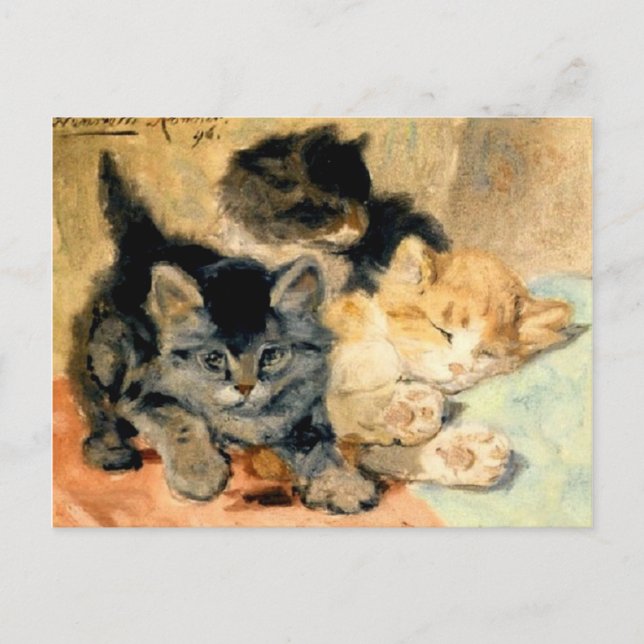 Three cute Kittens - Ronner Postcard (Front)