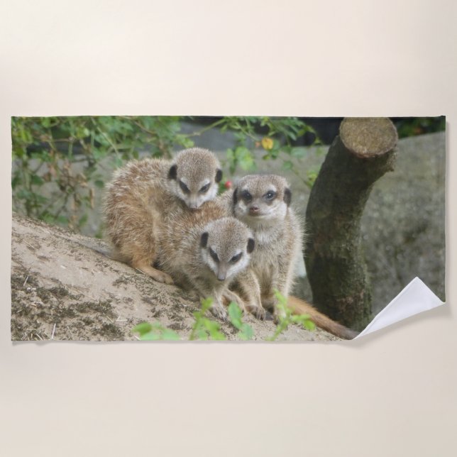Three Cute Meerkat Beach Towel (Front)