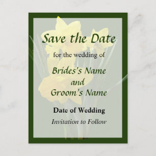 Three Daffodils Standing Guard Save the Date Announcement Postcard