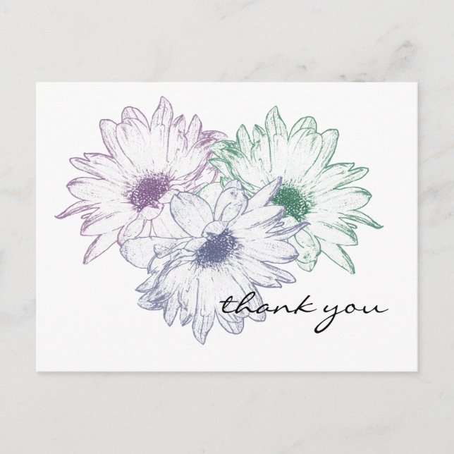 Three Daisies - Thank You Postcard (Front)