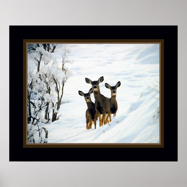 Three Deer Poster (Front)
