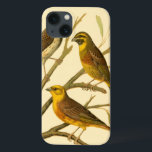 Three Domestic Birds Perched on a Branch iPhone 13 Case<br><div class="desc">Artist W. Rutledge captured perfectly the vivid colours of those domestic birds. Get this simple yet beautifully realistic painting. Side view of two yellow birds and one darker bird on a branch and looking in different directions.</div>
