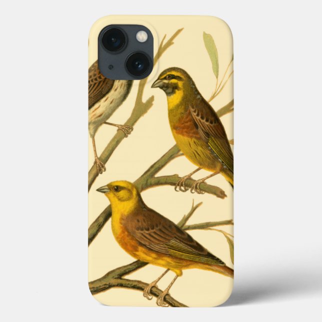 Three Domestic Birds Perched on a Branch Case-Mate iPhone Case (Back)