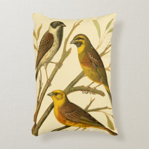 Three Domestic Birds Perched on a Branch Decorative Cushion