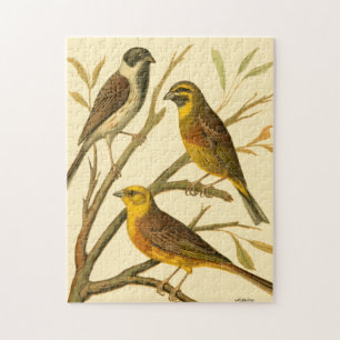 Three Domestic Birds Perched on a Branch Jigsaw Puzzle