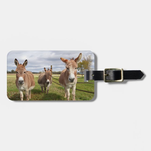 Three Donkey’s Luggage Tag (Front Horizontal)