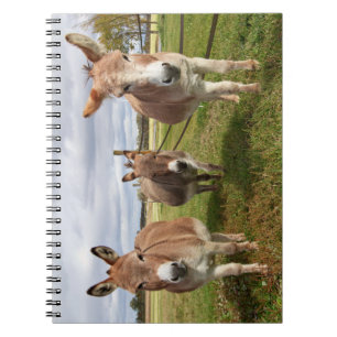 Three Donkey’s Spiral Notebook