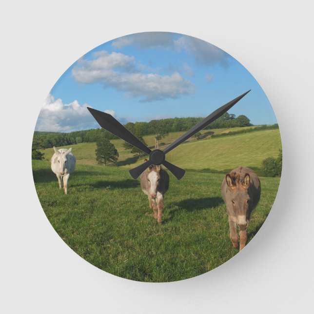 Three Donkeys in a Field Photograph Round Clock (Front)