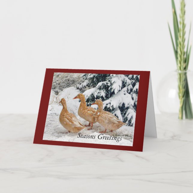Three Duck Parade In Snow Holiday Greeting Card (Front)