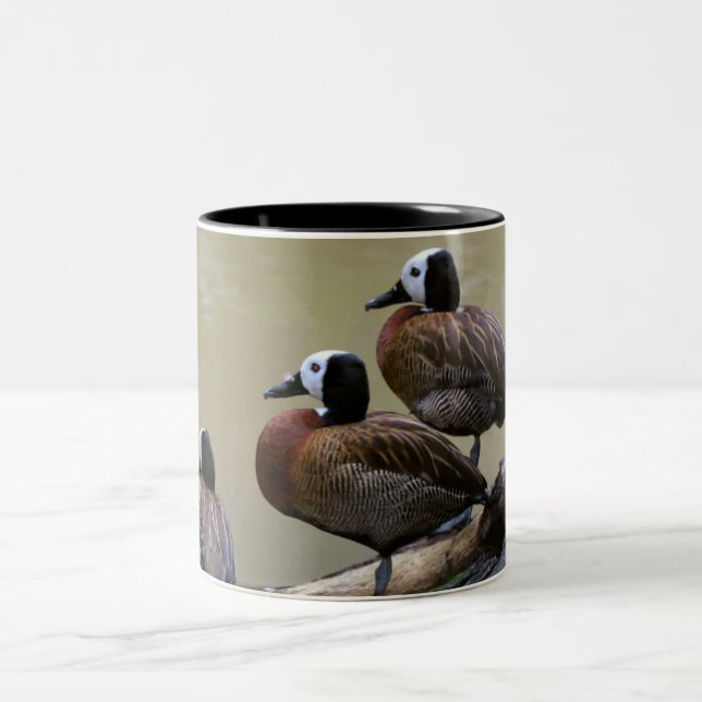 Three Ducks On A Log Mug (Center)