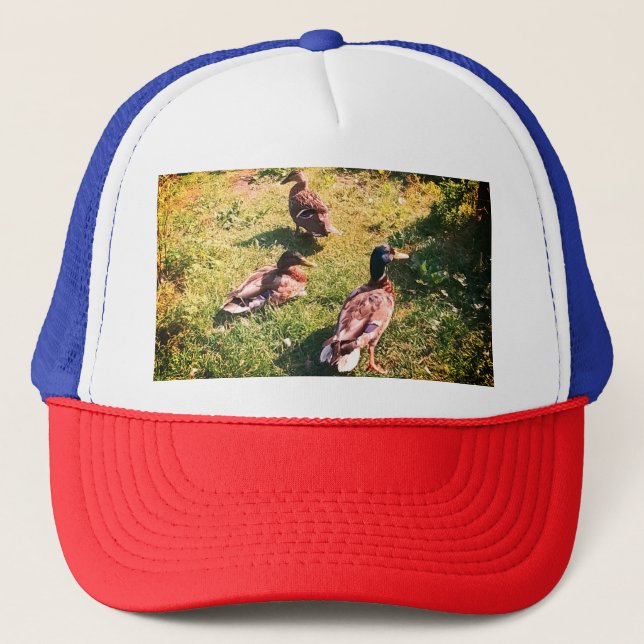 Three ducks trucker hat (Front)