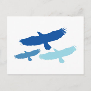 Three Eagles Flying (Blue) Postcard