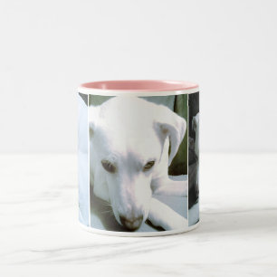 Three Elegant Photos of a Cute Puppy Dog Pink Two-Tone Coffee Mug
