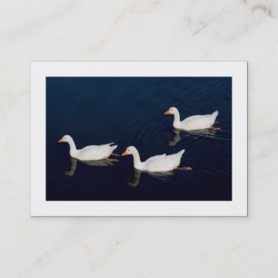 Three Emden Geese (Bordered) Business Card