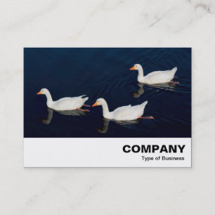 Three Emden Geese Business Card