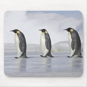 Three Emperor Penguins, Snow Hill Island Mouse Pad